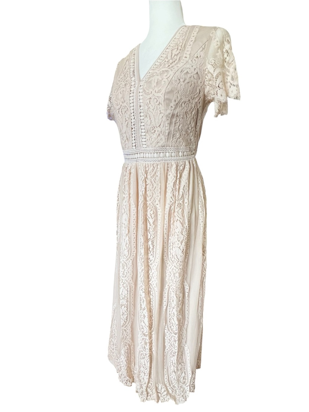 Elegant V-Neck Lace Maxi Dress in Blush - Picture 3 of 10